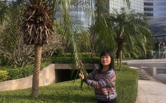 九九99线视频在线观看